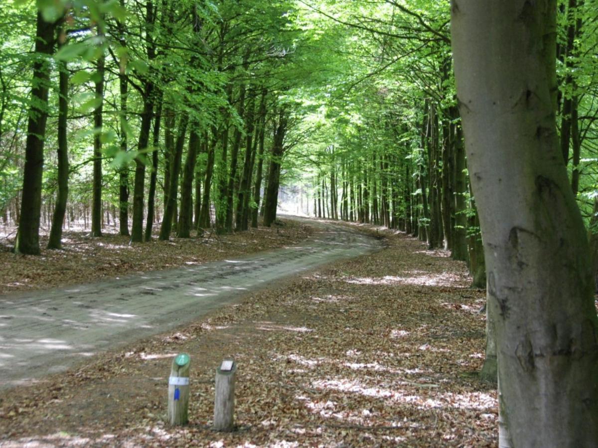 Spacious Holiday Home In Borkel En Schaft With Garden Kültér fotó